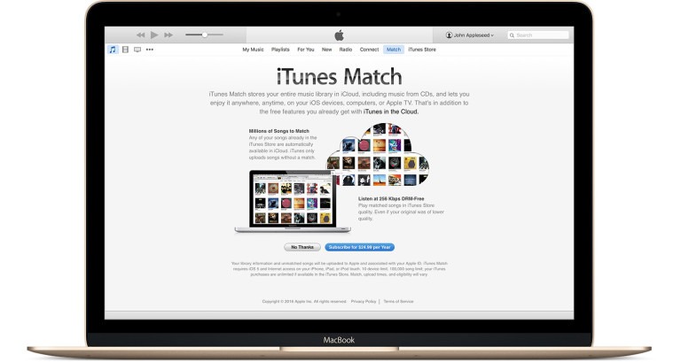 Read more about the article iTunes & Your Music Files